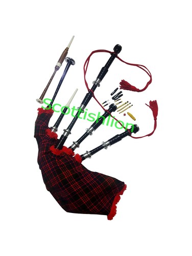 Scottish great highland - scottish,