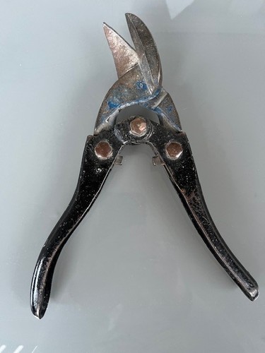 Antike blechschere cm - -,