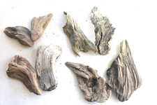 Schwemmholz Treibholz  8