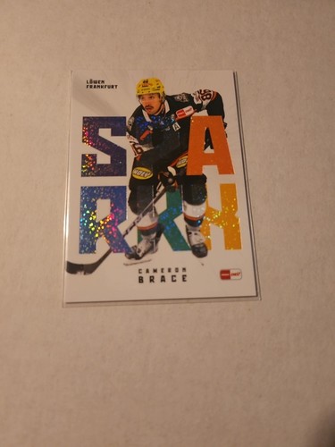 Del eishockey tradingcard - del,