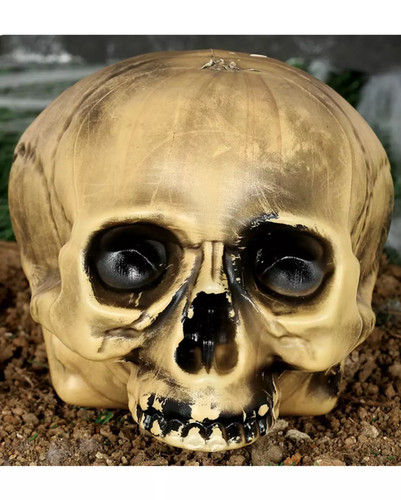 Totenkopf ohne kiefer - kiefer, aus
