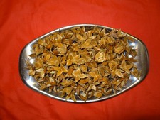 300 Bucheckerhülsen , leer - ohne Buchecker,  naturbelassen, Basteln, Deko,