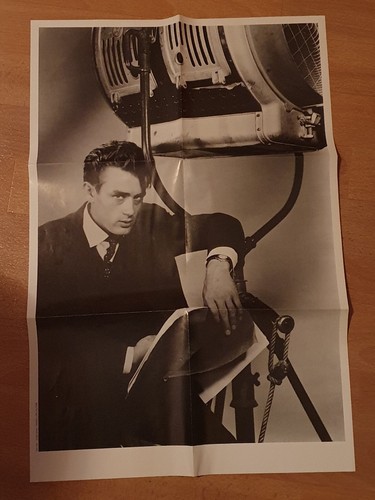 James dean poster 40x60 - james,