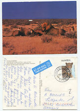 21129 - Löwen mit Beute - Namibia - Ansichtskarte, gelaufen Swakopmund