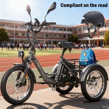 FAFREES Cargo Bike Elektro