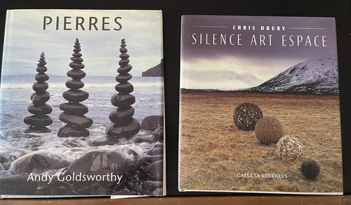 Pierre andy goldsworthy - pierre,