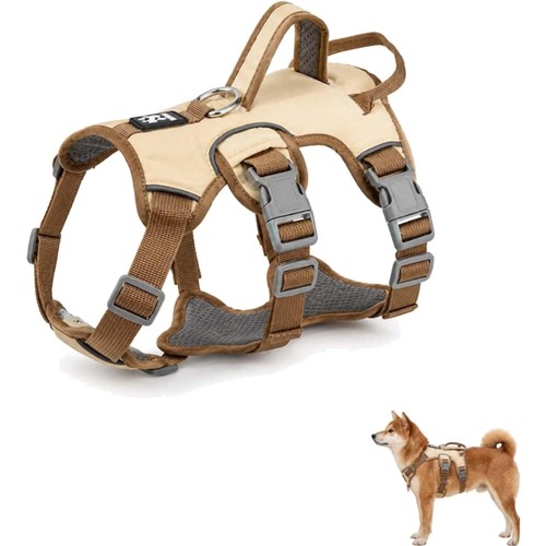Hundegeschirr