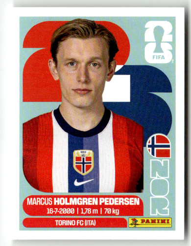 Panini world cup sticker - world,
