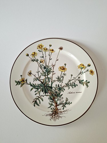 Villeroy boch botanica - villeroy,