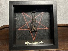 Fledermaus Bat Pentagramm Gothic schwarz tiefer Bilderrahmen Dekoration Wanddeko