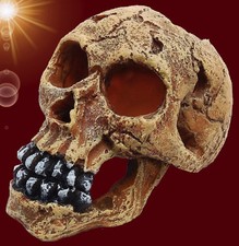 Aquarium Deko ❤ kleiner Totenkopf 11cm ❤ Totenschädel Terrarium Höhle Zubehör
