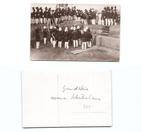 Trebbin laying - (c140709),
