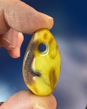 Antiker Baltischer Natur