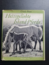 Heissgeliebte island pferde - heissgeliebte, island-pferde