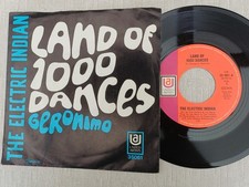 ELECTRIC INDIAN - Land Of 1000