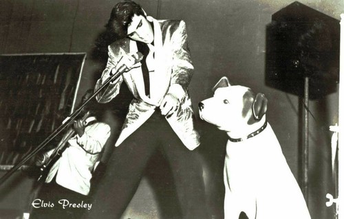 Elvis presley original - presley, *