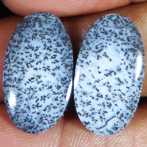 Natürlich dendrite opal paar - dendrite,