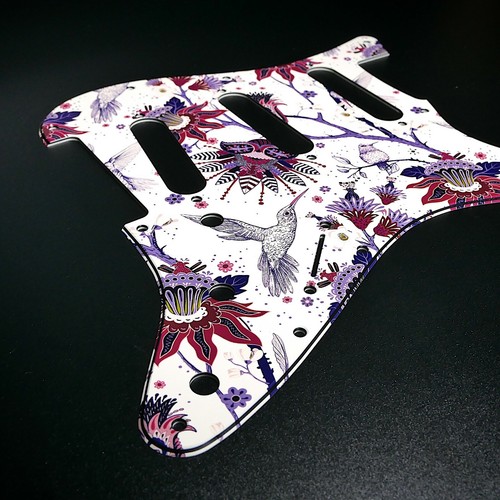Fender strat schlagbrett - fender, •