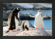 Gerahmtes Wandbild Poster