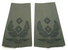 Rangabzeichen Luftwaffe