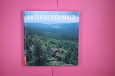 163031 Raimund Kutter