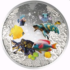 Niue -  Korallenriff (Coral