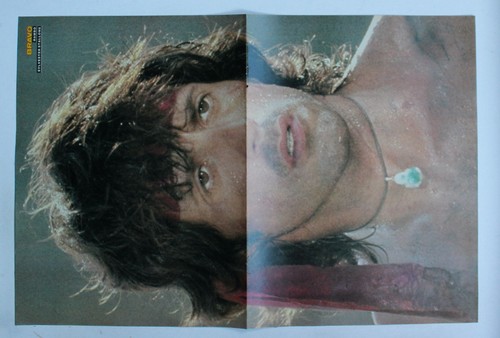 Sylvester stallone bravo - stallone,