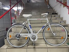 Hercules Pegasus Herrenrad