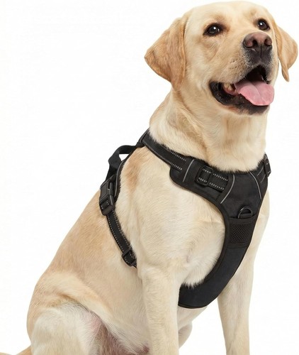 Hundegeschirr für große - für,