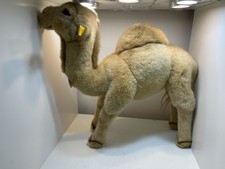 Steiff Dromedar 066900 Hocky 35cm Top Zustand 