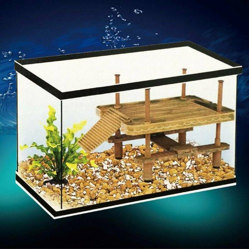 Aquarium schildkröten - aquarium,