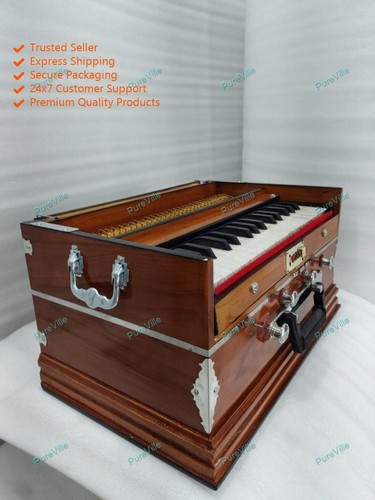 Indain klassisches instrument - indain,