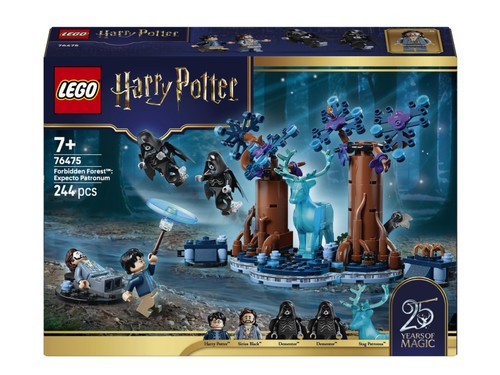 Lego harry potter 76475 - harry, potter™