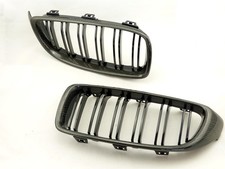 Carbon Frontgrill Nieren