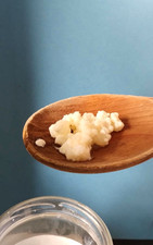 Milchkefir, Pilz, Kefir