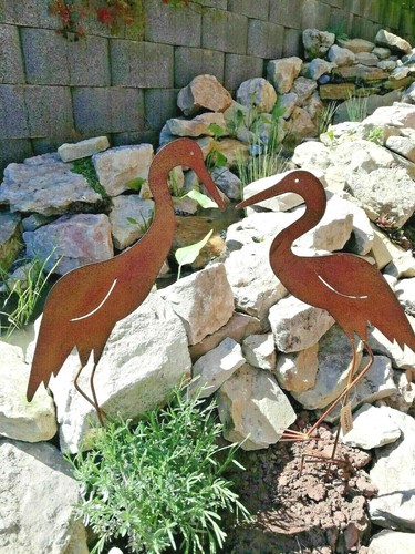 Reiher stecken groß rost - z.,