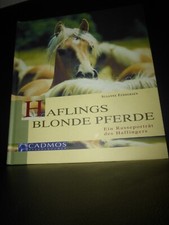 Haflings blonde Pferde Susanne
