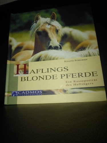 Haflings blonde pferde susanne - haflings,