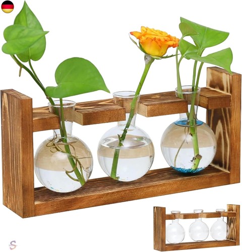 Pflanzen propagation station - propagation,