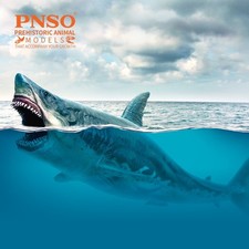 PNSO Patton der Megalodon - Prähistorisches Haifischmodell