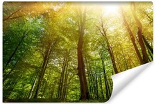 Selbstklebende FOTOTAPETE WALD