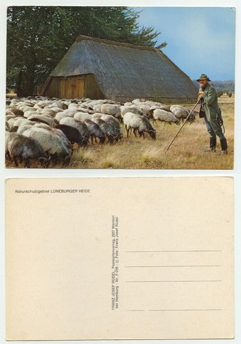 80429 schäfer mit - -,
