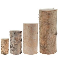 Echtholz Birkenstämmchen Holzstamm Baumstamm Holz gerader Schnitt in 4 Größen