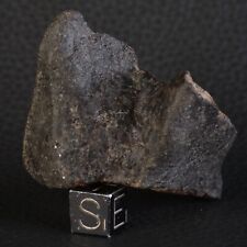 Meteoritenstück NWA 16950 Von