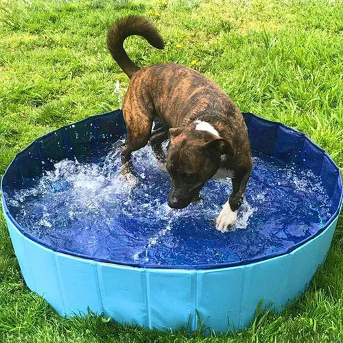 Hundepool faltbare badewanne - hundepool,