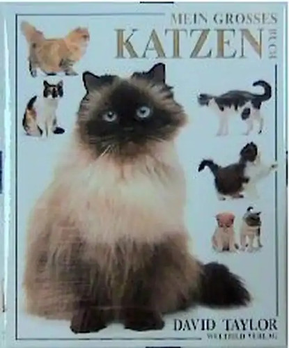 Mein grosses katzenbuch - grosses,