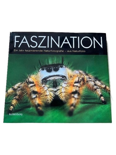 Faszination ein jahr - faszination,