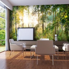 Wald sonne landschaft natur - wald,