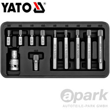 Multi-tooth XZN 12-sided bit