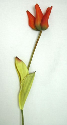1kunstblüte tulpe rot ca - -,